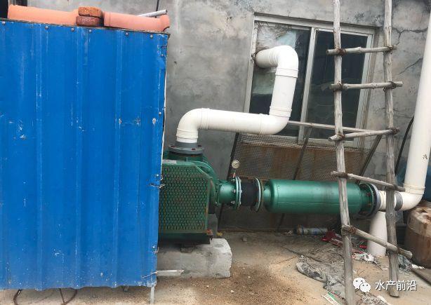 出蝦27斤/立方，連續三造成功后，工廠化養蝦在他看來并不難！