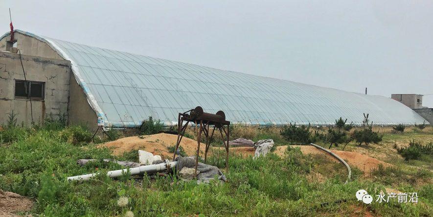 出蝦27斤/立方，連續三造成功后，工廠化養蝦在他看來并不難！